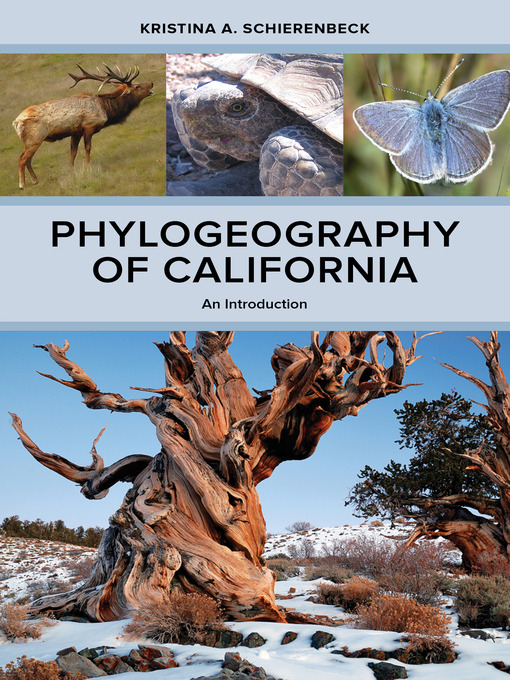 Title details for Phylogeography of California by Kristina A. Schierenbeck - Available